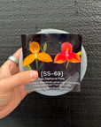 [SS-69] Disa Zephyrus Flare Flask by Seed Studio®