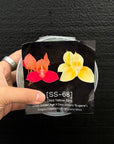 [SS-68] Disa Yellow Bird Flask by Seed Studio®